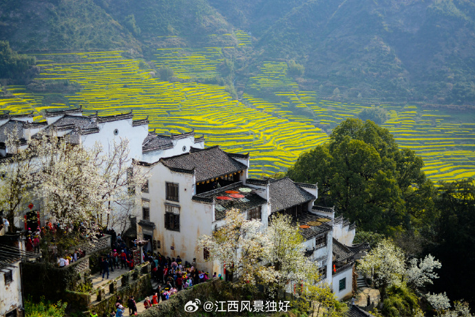 江西，历史底蕴与现代魅力的交织之地揭秘探秘之旅