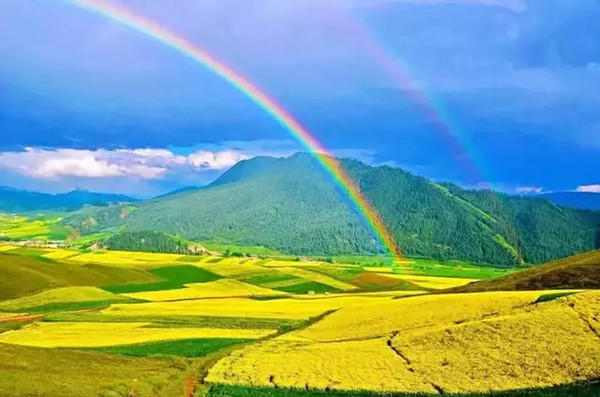 青海深度游，地理、历史与文化的探索之旅