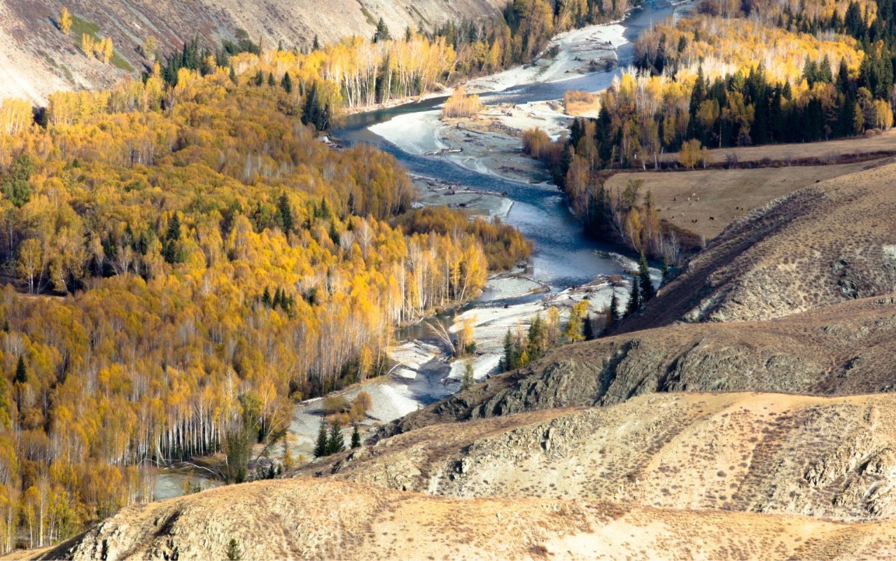新疆，神秘多元魅力之地的探索与揭秘
