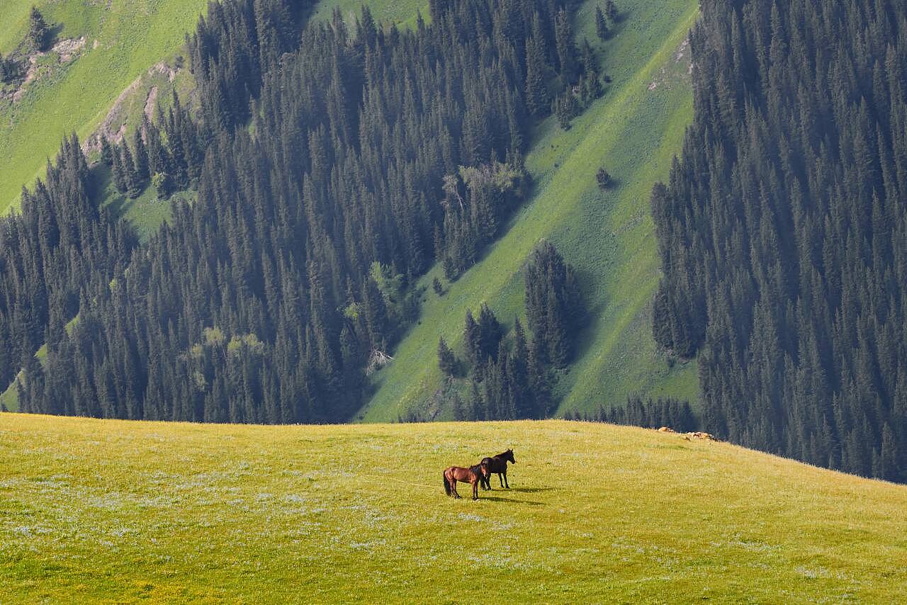 新疆，多元文化交融的历史瑰宝